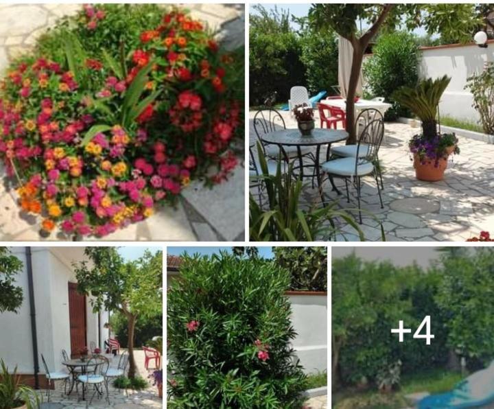 Villa Dafne Mare Fondi Sperlonga Zewnętrze zdjęcie